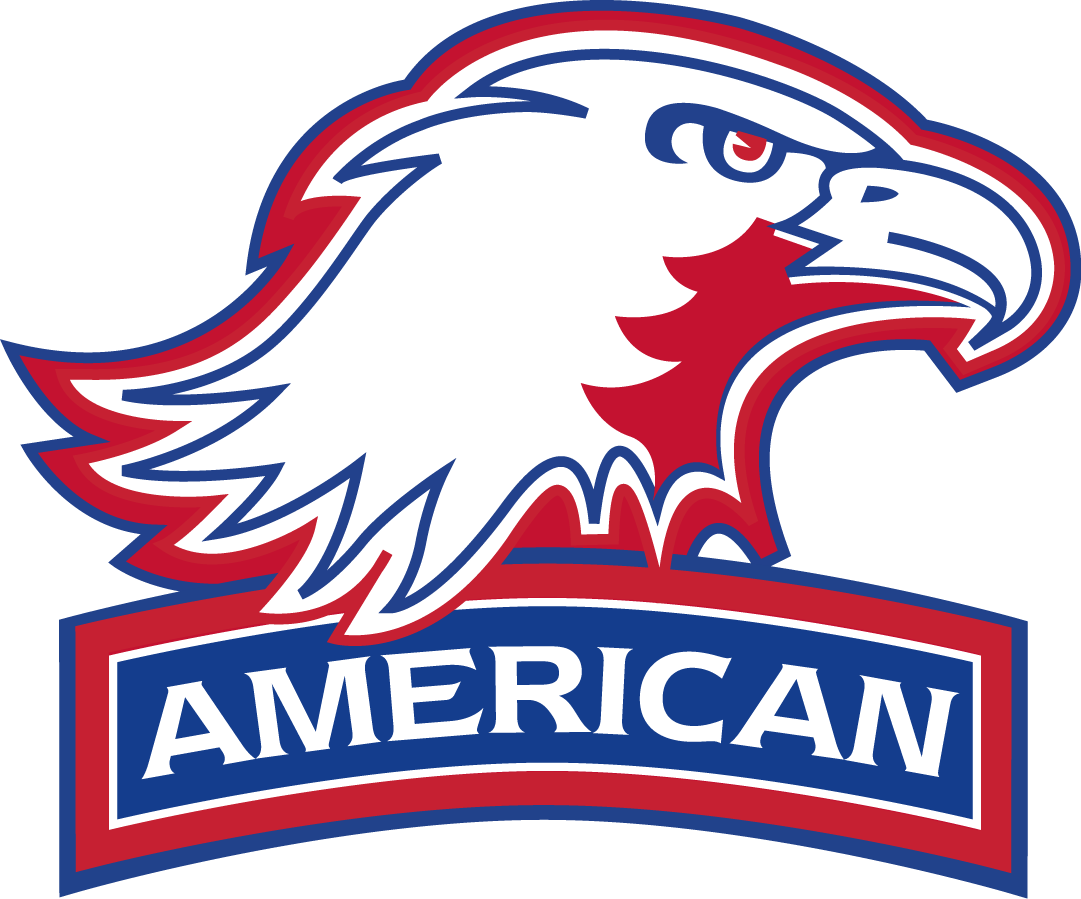 American Eagles 2006-2009 Alternate Logo v2 DIY iron on transfer (heat transfer)